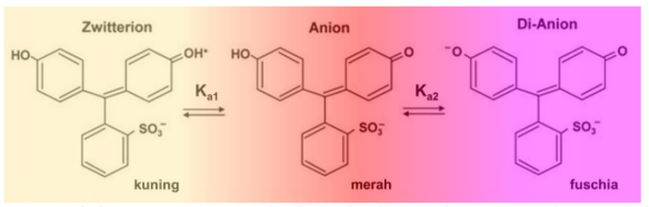 Perubahan warna indikator fenol merah terhadap pH