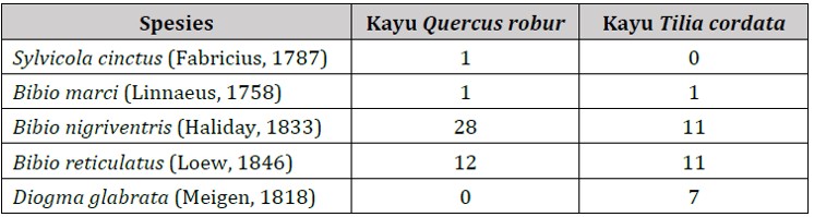 Tabel data keanekaragaman Diptera pada kayu mati
