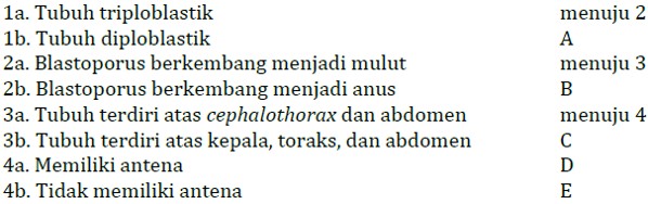 Kunci Identifikasi Dikotom Hewan